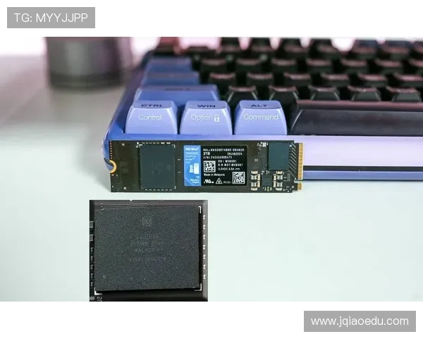 西部数据蓝盘与黑盘固态硬盘性能差异解析及适用场景对比